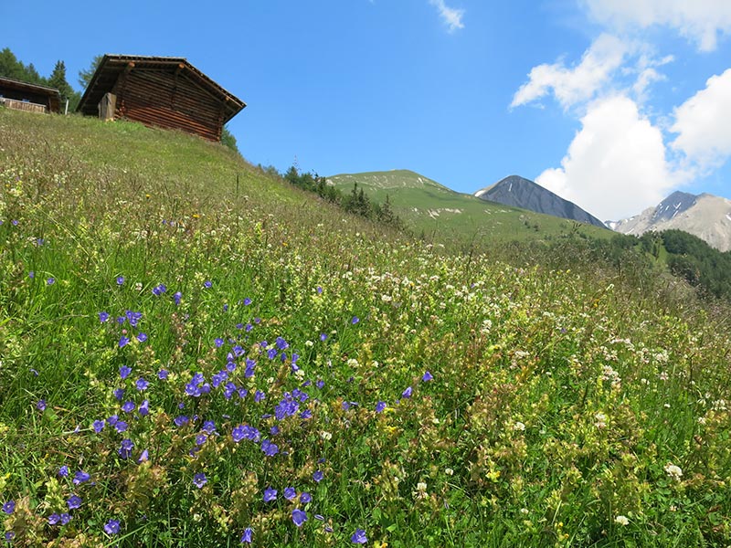 Bunzkögele